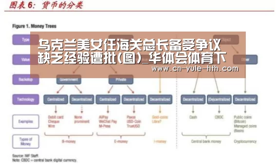 乌克兰美女任海关总长备受争议 缺乏经验遭批(图)_华体会体育下载(图2) 华体会体育